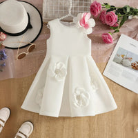 Girls White Sleeveless Fit & Flare Party Wear Dress With Delicate Floral Appliques Party Dresses White 2-3 Y