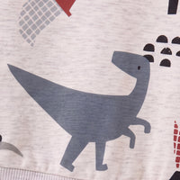 Boys Beige Graphic Long Sleeve Sweatshirt Sweatshirts & Hoodies