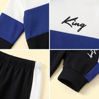 Boys Multicolor Hooded Sweatshirt With Joggers Sets Sets