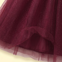 Girls Maroon Glitter Print Sleeveless Party Gown Party Dresses