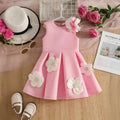 Girls Pink Sleeveless Fit & Flare Party Wear Dress With Delicate Floral Appliques Party Dresses Pink 2-3 Y