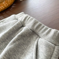 Boys Grey Regular Hooded Sweatshirt With Trouser Sets 3 pc. Sets