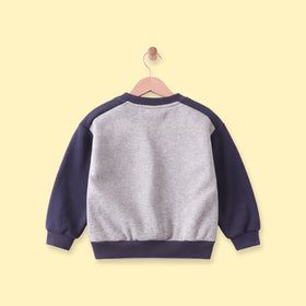 Boys Grey Colourblocked Long Sleeve Sweatshirt Sweatshirts & Hoodies