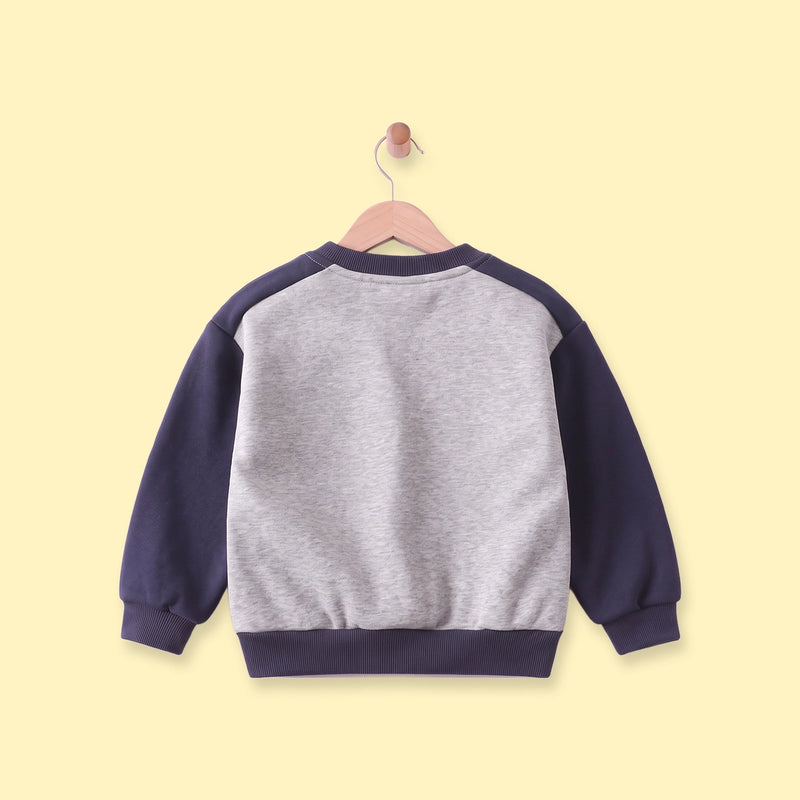 Boys Grey Colourblocked Long Sleeve Sweatshirt Sweatshirts & Hoodies
