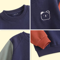 Boys Navy Colorblock Long Sleeve Sweatshirt Sweatshirts & Hoodies