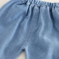 Boys Green Ombre Dyed Short Sleeves T-Shirt With Denim Pants Set 2 pc. Sets