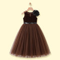 Girls Brown Floral Applique Fit & Flare Party Dress Party Dresses Brown 2-3 Y