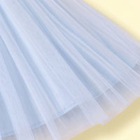 Girls Blue Floral Applique Sleeveless Party Gown Party Dresses
