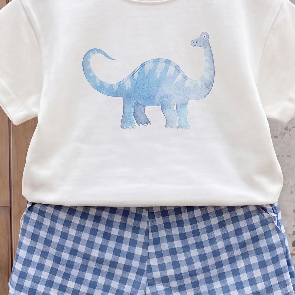 Boys White Short Sleeve Dinosaur Print T-Shirt With Checked Shorts Sets 2 pc. Sets