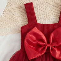 Girls Maroon Sleeveless Tulle Overlay Fit & Flare Dress With Bow Detail Casual Dresses