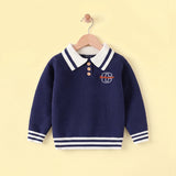 Boys Blue Self-Design Polo Sweater