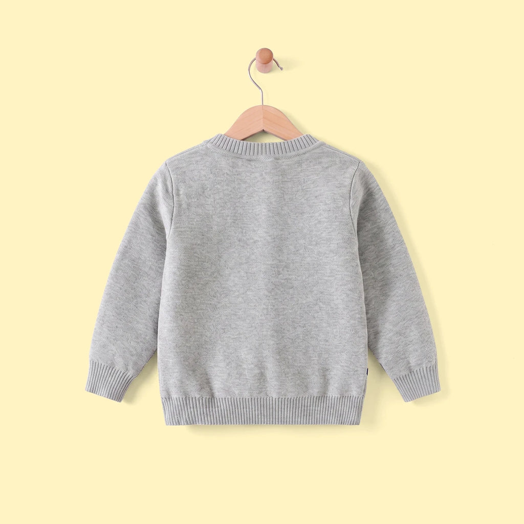 Boys Grey Self-Design Cardigan Sweaters & Cardigans
