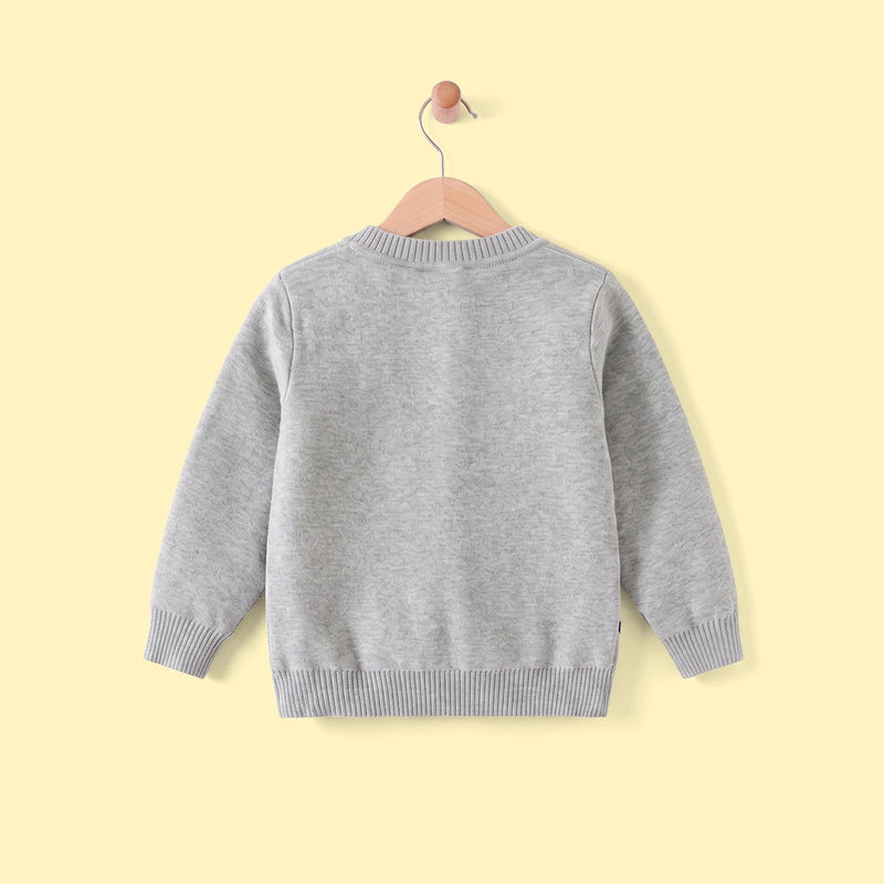 Boys Grey Self-Design Cardigan Sweaters & Cardigans