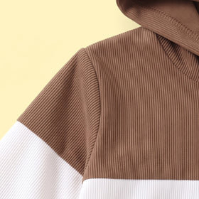 Boys Brown Colour-blocked Hooded Sweatshirt Sweatshirts & Hoodies