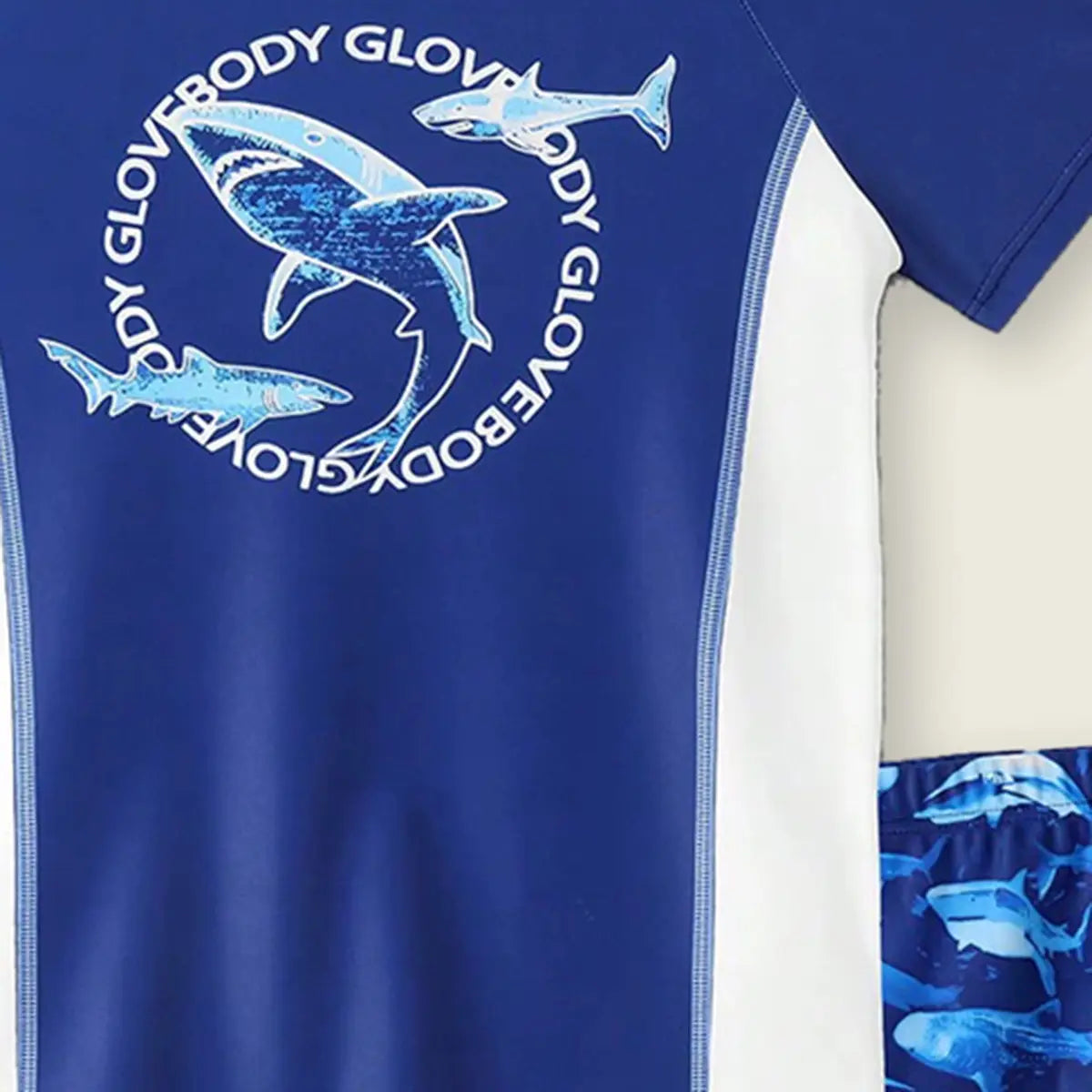 Boys Blue Fish Printed Short Sleeves T-Shirt & Shorts Swimsuit Sets Sets
