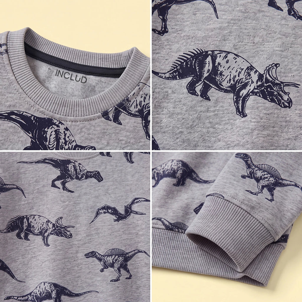 Boys Grey Dinosaur Print Round Neck Sweatshirt Sweatshirts & Hoodies