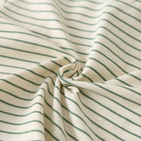 Boys Green Dinosaur Striped Polo T-shirt with Shorts Set Sets