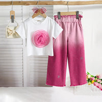 Girls Pink Flower Applique T-Shirt With Ombre Print Pants Sets Sets Pink 2-3 Y