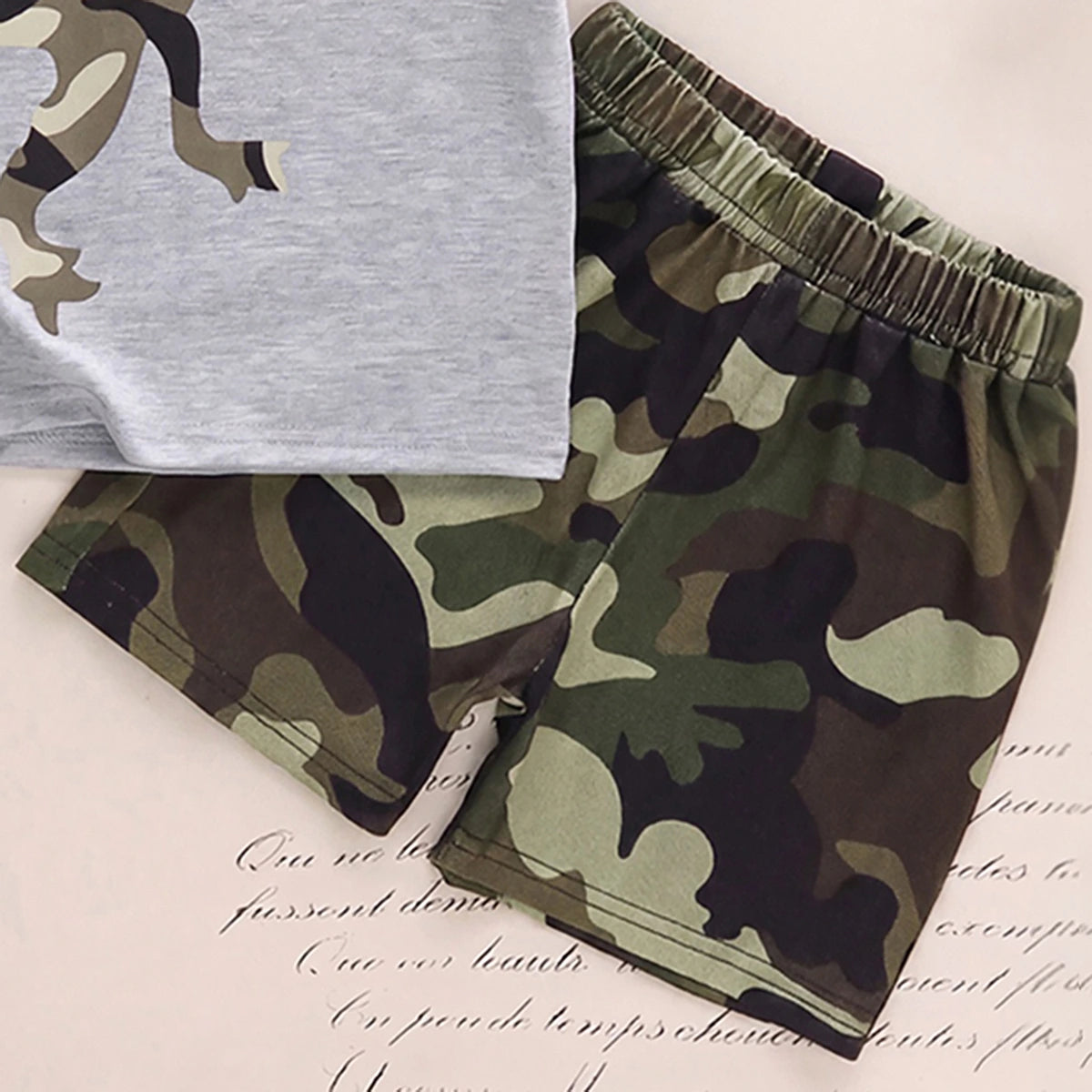 Boys Grey Short Sleeve T-Shirt With Camouflage Print Shorts Sets 2 pc. Sets