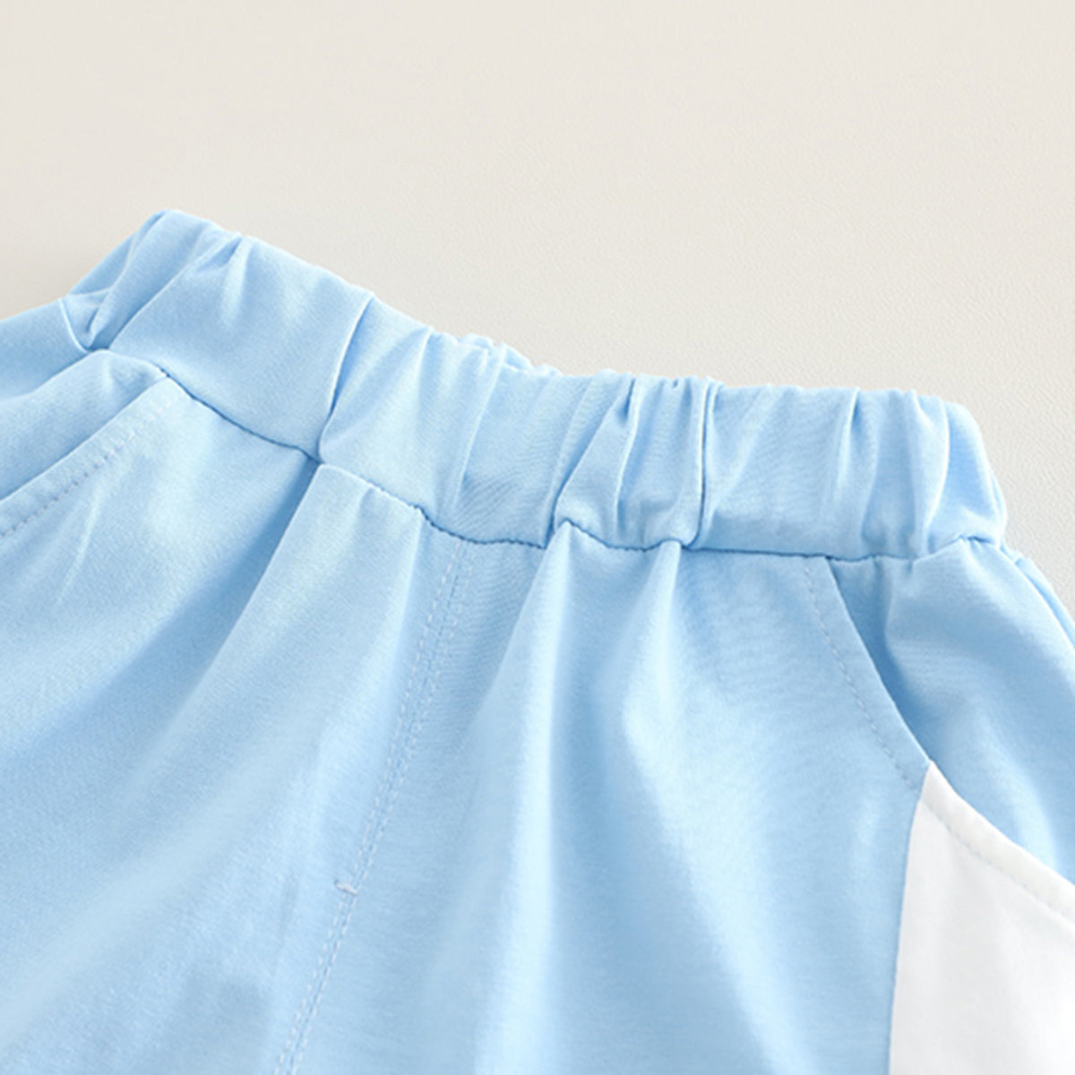 Boys Sky Blue Cat Applique Color-blocked Polo T-Shirt With Shorts Set 2 pc. Sets