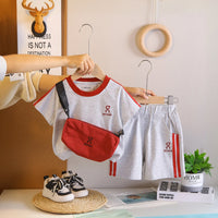 Boys Grey Printed Short Sleeve T-Shirt With Elasticated Shorts Sets Sets Grey 1-2 Y