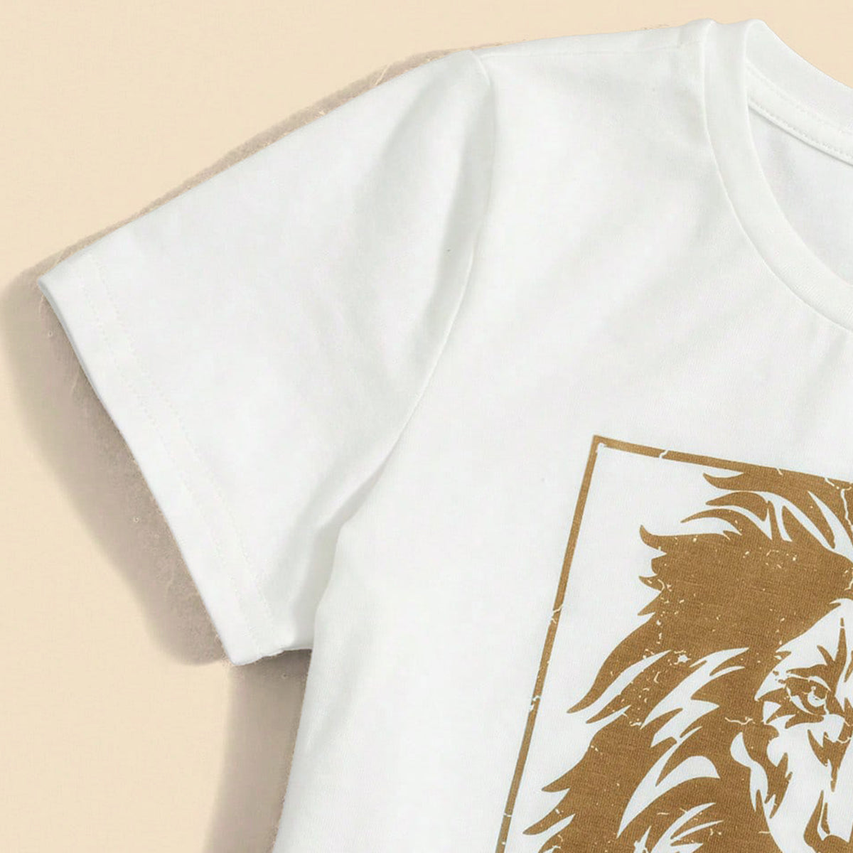 Boys Graphic T-Shirt With Khaki Elasticated Joggers Set 2 pc. Sets