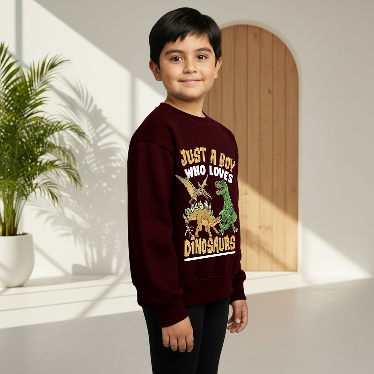 Boys Maroon Dinosaur Graphics Round Neck Sweatshirt Sweatshirts & Hoodies