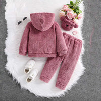 Girls Pink Embroidered Hooded Fleece Sweatshirt With Jogger Co-ord Sets 2 pc. Sets