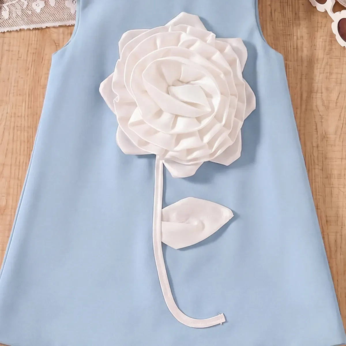 Girls Light Blue Rose Applique A-line Party Dress Party Dresses