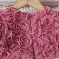 Girls Peach Floral Appliqued Fit & Flare Party Wear Dress Party Dresses