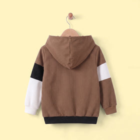 Boys Brown Colour-blocked Hooded Sweatshirt Sweatshirts & Hoodies