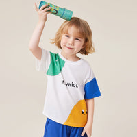 Boys Printed Oversized T-shirt Tshirts   