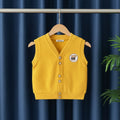 Boys Yellow Sleeveless Sweater Cardigan Sweaters & Cardigans Yellow 1-2 Y