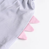 Boys Beige Dinosaur Applique Short Sleeve T-Shirt With Elasticated Shorts Sets 2 pc. Sets