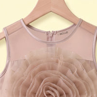 Girls Light Brown Floral Applique Sleeveless Party Gown Party Dresses