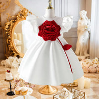 Girls White 3D Flower Applique Fit & Flare Party Wear Dress Party Dresses White 3-4 Y