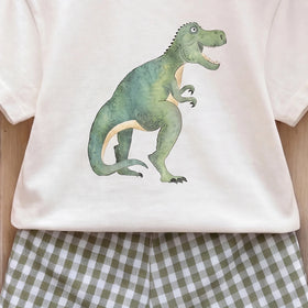 Boys Short Sleeve Dinosaur Print T-Shirt With Green Checked Shorts Sets 2 pc. Sets