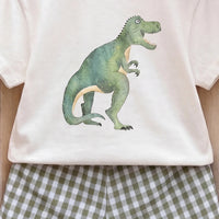Boys Short Sleeve Dinosaur Print T-Shirt With Green Checked Shorts Sets 2 pc. Sets