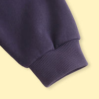 Boys Purple Colourblocked Long Sleeve Sweatshirt Sweatshirts & Hoodies