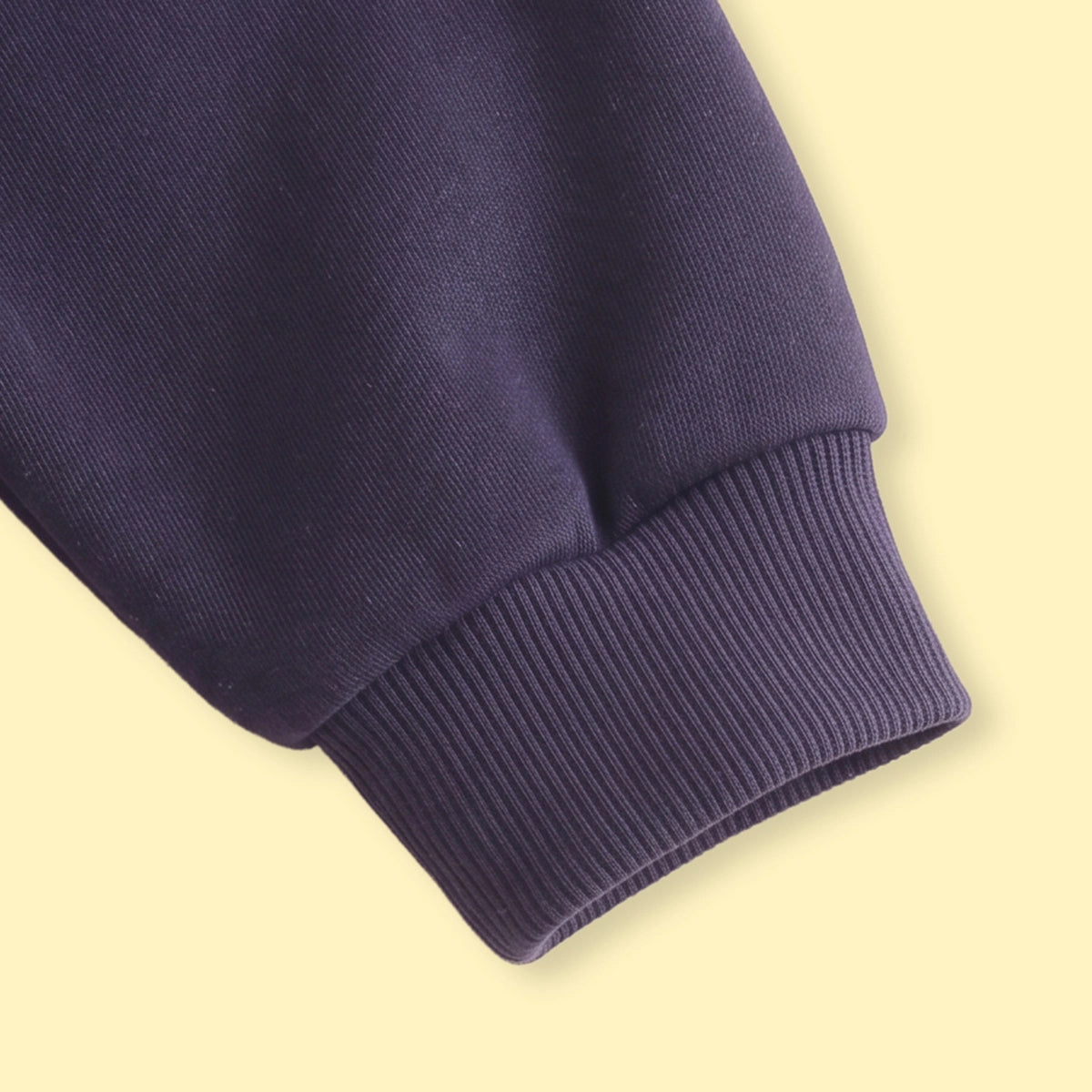 Boys Purple Colourblocked Long Sleeve Sweatshirt Sweatshirts & Hoodies