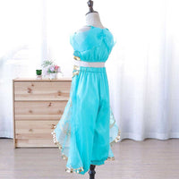 Girls Princess Jasmine Party Wear Top With Trousers Set Sets   