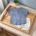 Boys Blue Textured Short Sleeve T-Shirt With Shorts Sets 2 pc. Sets Blue 1-2 Y
