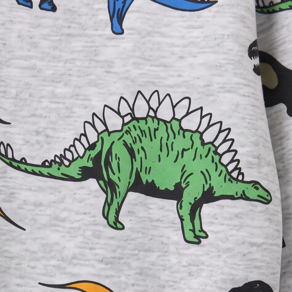 Boys Grey Dinosaur Print Round Neck Sweatshirt Sweatshirts & Hoodies
