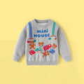 Boys Grey Bear Graphic Long Sleeve Sweater Sweaters & Cardigans Grey 2-3 Y