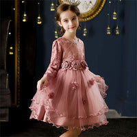 Girls Embroidered Knee Length Tutu Dress Party Dresses   