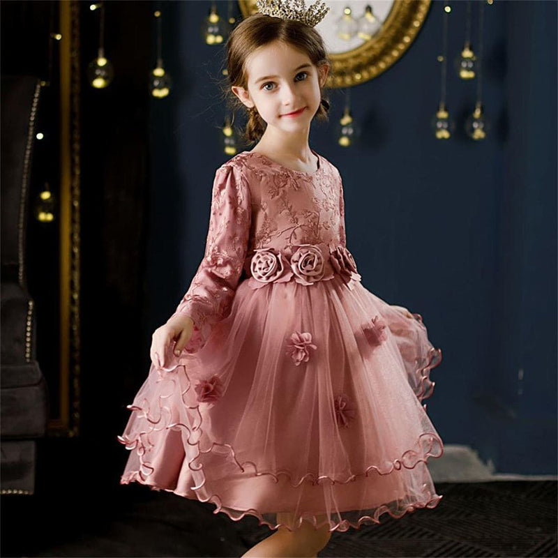 Girls Embroidered Knee Length Tutu Dress Party Dresses   