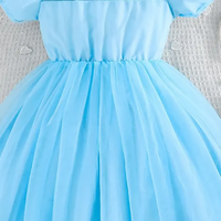 Girls Light Blue Tulle Overlay Fit & Flare Dress With Puff Sleeves Casual Dresses