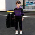 Boys Purple Typographic Printed Hooded Sweatshirt With Vest & Jogger Sets Sets Purple 5-6 Y