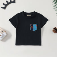 Boys Short Sleeve T-Shirt With Printed Shorts Set Sets   