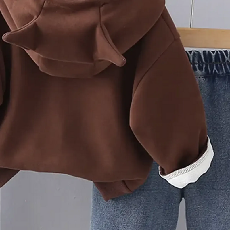 Boys Brown Long Sleeve Hooded Sweatshirt With Elasticated Jeans Set Sets